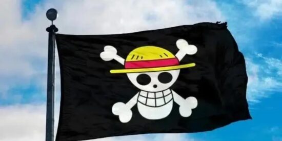 La bandera de &#039;One Piece&#039;