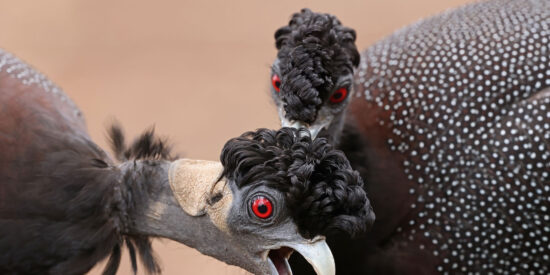 Pronóstico del Tiempo en España para este lunes 13 de octubre de 2025