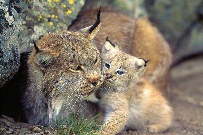 Pronóstico del Tiempo en España: martes 14 de octubre de 2025
