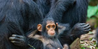 Pronóstico del Tiempo: sábado 18 de octubre de 2025